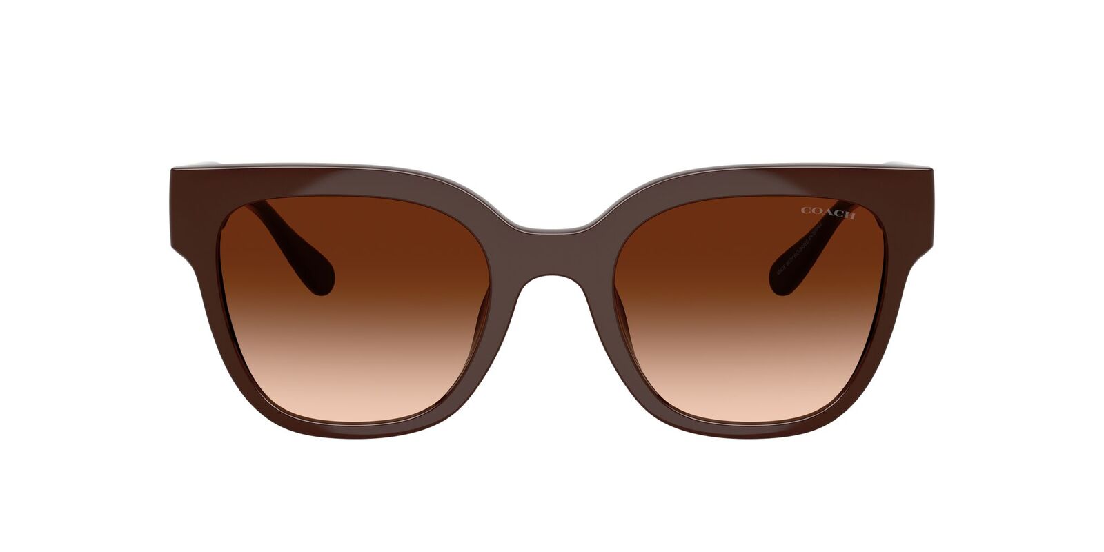 Coach CFT88 HC8460U 595774-51 Pecan / Brown Gradient Lenses