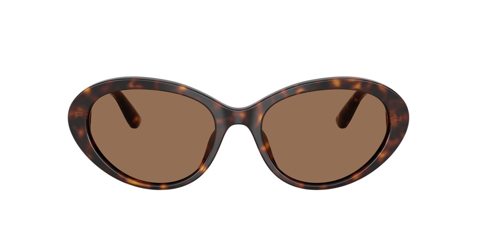 Dolce & Gabbana DG4570 502/73-53 Havana / Dark Brown Lenses