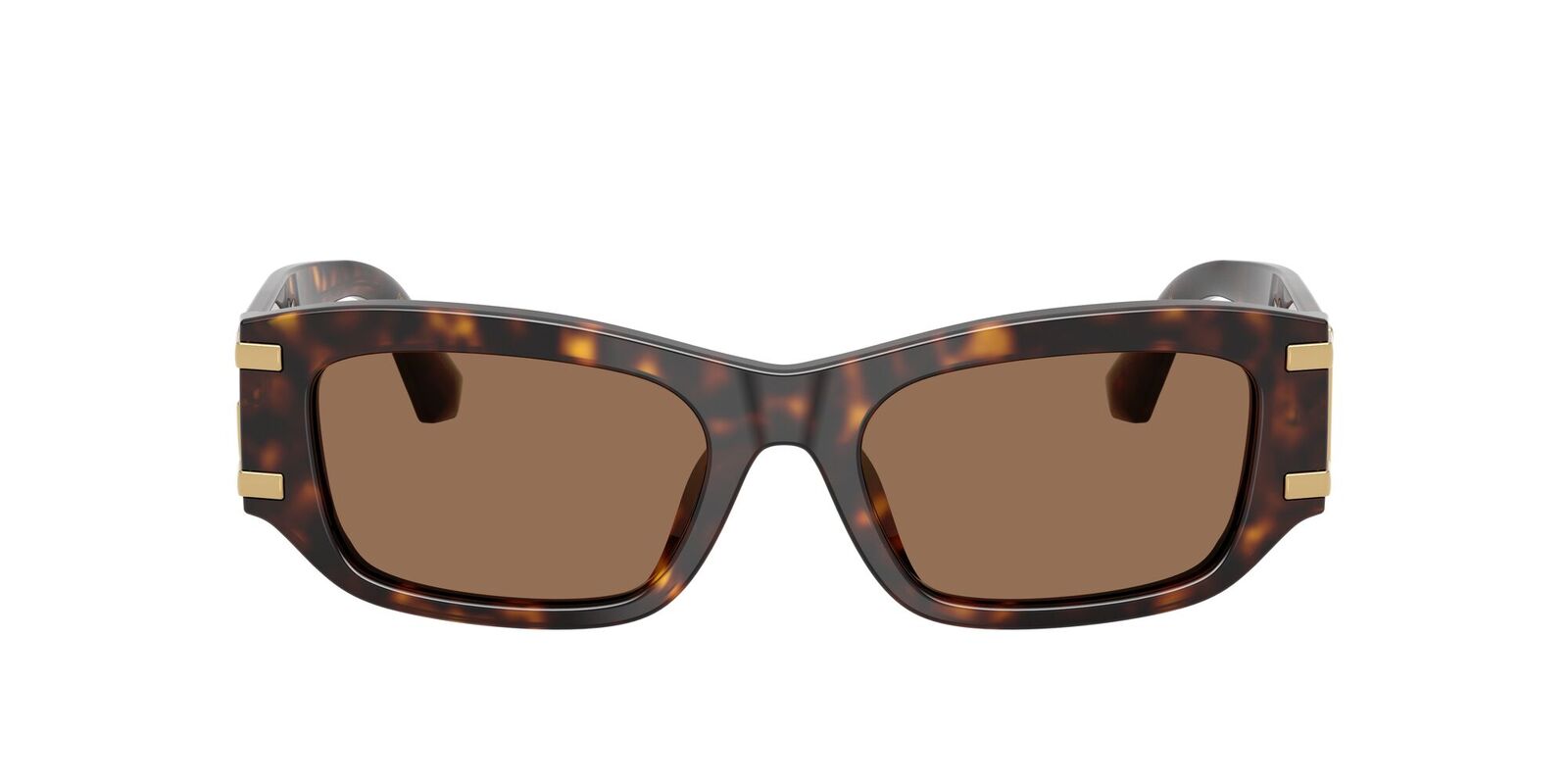 Dolce & Gabbana DG4564 502/73-53 Havana / Dark Brown Lenses