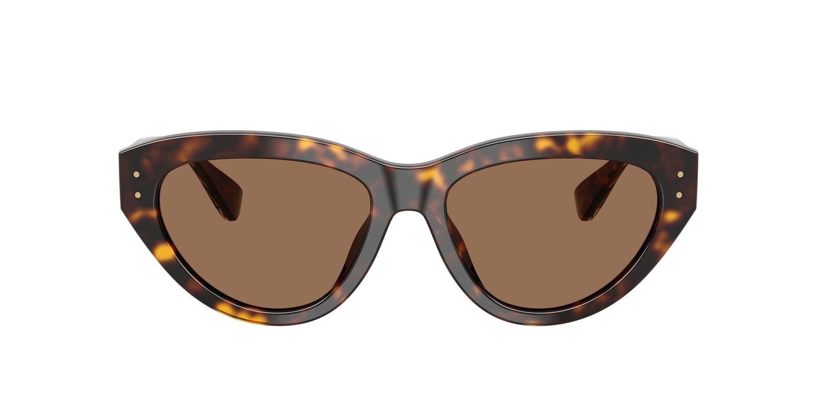 Dolce & Gabbana DG4558 502/73-54 Havana / Dark Brown Lenses