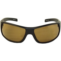Urban Layback C14 Black / Brown Lenses