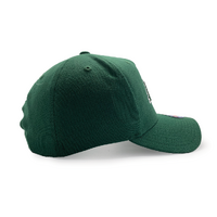Mitchell & Ness Classic Red Los Angeles Lakers State Of Mind NBA Malachite Green OSFM MNLL22011