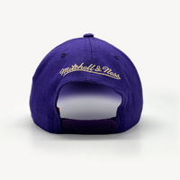 Mitchell & Ness Classic Red Los Angeles Lakers Lay Up NBA Purple/Yellow OSFM MNLL22353