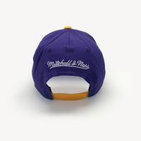 Mitchell & Ness Classic Red Los Angeles Lakers Headline Arch NBA Purple/Yellow OSFM MNLL22351