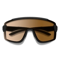 Smith Wildcat 003 B6 99 Matte Black / Brown Chromapop Photochromic Lenses
