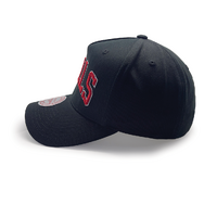 Mitchell & Ness Chicago Bulls MVP Team Colour Wordmark Black OSFM
