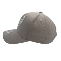 Mitchell & Ness Chicago Bulls Pro Crown Seasonal Spring Sterling OSFM