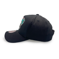 Mitchell & Ness Vancouver Grizzlies Pro Pinch Evergreen Core Team Colour Black OSFM