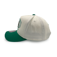Mitchell & Ness Boston Celtics Pro Pinch Champions White Cream/Green OSFM