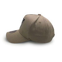 Mitchell & Ness Las Vegas Raiders Pro Pinch Desert Sands Pumicestone OSFM