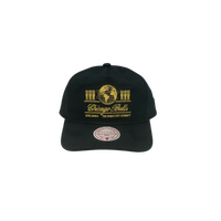 Mitchell & Ness Chicago Bulls Origins Worldwide Black OSFM