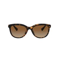 Coach HC8285U 5120T5-56 Dark Tortoise / Brown Gradient Polarised Lenses