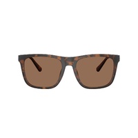 Coach CAE78 HC8427U 512073-57 Matte Dark Tortoise / Brown Solid Lenses