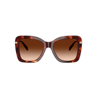 Coach CFU03 HC8461U 593874-54 Walnut Tortoise / Brown Gradient Lenses
