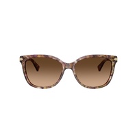 Coach HC8132 528713-57 Shiny Tortoise / Brown Gradient Lenses