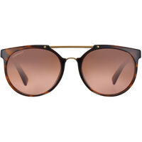 Serengeti Lerici 8352 Shiny Tortoise with Satin Soft Gold / Drivers Gradient Photochromic Lenses