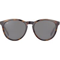 Serengeti Brawley SS556001 Shiny Tortoise / Smoke Polarised Photochromic Lenses