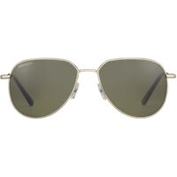 Serengeti Haywood SS543003 Gold / 555nm Polarised Photochromic Lenses