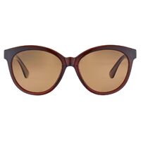 Serengeti Endee SS573002 Shiny Brown Spray / Drivers Polarised Photochromic Lenses