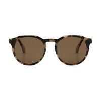 Bask Eyewear Sheyd 95-2720 Beige Tortoise / Brown Polarised Lenses