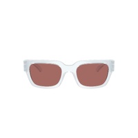 Arnette Myndegap AN4354 298969-49 Transparent Ice / Dark Violet Lenses