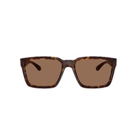 Arnette Plot Twist AN4346 277073-57 Dark Havana / Dark Brown Lenses