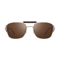 Revo Crafted RE 1259 04 BR Shiny Gold / Terra Polarised Lenses