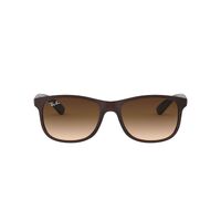 Ray-Ban RB4202 607313-55 Andy Matte Brown On Brown / Dark Brown Gradient Lenses