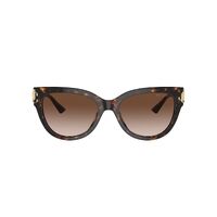 Jimmy Choo JC5018U 500213-54 Havana / Brown Gradient Lenses