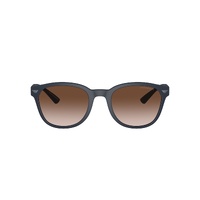 Emporio Armani EA4225U 508813-53 Matte Blue / Brown Gradient Lenses