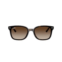 Ray-Ban RB4461D 710/13-64 Havana / Brown Gradient Lenses