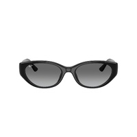 Ray-Ban RB4457D 667711-55 Black / Grey Gradient Lenses