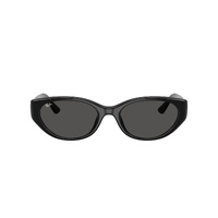 Ray-Ban RB4457D 667787-55 Black / Dark Grey Lenses