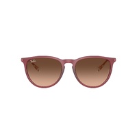 Ray-Ban RB4171 6815A5-54 Erika Rubber Violet / Brown Gradient Lenses