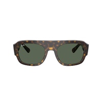 Ray-Ban RB2218 679071-55 Havana / Green Lenses