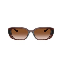 Versace VE4504D 533213-56 Transparent Brown / Brown Gradient Lenses