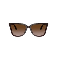 Emporio Armani EA4261 631813-55 Transparent Brown w Teal / Brown Gradient Lenses