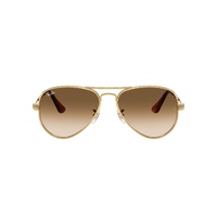 Ray-Ban RB3925 001/51-58 Aviator Max Arista Gold / Clear Brown Gradient Lenses
