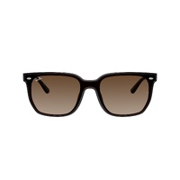 Ray-Ban RB4466D 714/13-47 Transparent Dark Brown / Brown Gradient Lenses