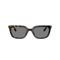Ray-Ban RB4439D 710/87-54 Havana / Dark Grey Lenses
