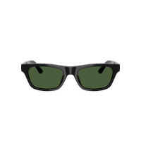 Polo Ralph Lauren PH4238U 500171-53 Shiny Black / Dark Green Lenses