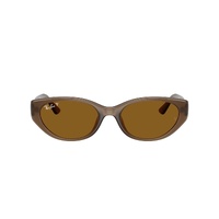 Ray-Ban RB4457D 677983-55 Transparent Brown / Dark Brown Polarised Lenses