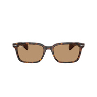 Ray-Ban RB2234 902/53-53 Brunel Havana / Brown Lenses
