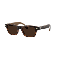 Ray-Ban x Meta Audio (Gen 3) Burbank RW7005 6928M4-54 Havana / Brown Transition Photochromic Lenses