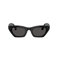 Ray-Ban x Meta (Gen 3) Zena RW4015 601/87-49 Shiny Black / Grey Lenses