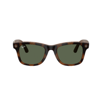 Ray-Ban x Meta (Gen 3) Wayfarer RW4011 690571-53 Havana / G15 Green Lenses