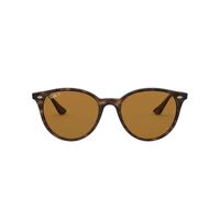 Ray-Ban RB4305 710/83-53 Tortoise / Brown Classic B-15 Polarised Lenses