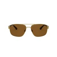 Ray-Ban RB3663 001/57-60 Gold / B-15 Brown Polarised Lenses