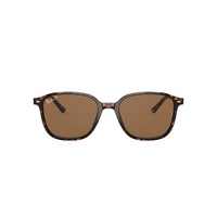 Ray-Ban RB2193 902/57-53 Leonard Matte Tortoise / Classic Brown B-15 Polarised Lenses