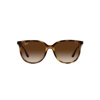 Ray-Ban RB4378 710/13-54 Havana / Brown Gradient Lenses